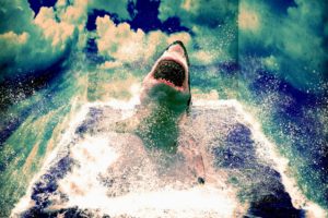 animals, Sharks, Manipulation, Art, Cg, Digital, Artistic, 3d, Psychedelic, Mind, Teaser, Ocean, Sea, Nature, Sky, Clouds, Waves, Scary, Spooky, Fangs, Jaws, Movies