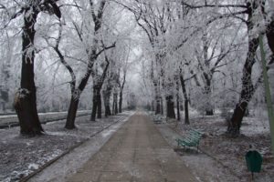 nature, Landscapes, Winter, Snow, Frost, Seasons, Park, Garden, Path, Sidewalk, Roads, Bench, Trees, Cold, Freezing, Ice