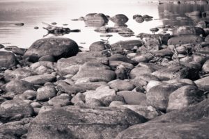 water, Nature, Coast, Rocks, Monochrome