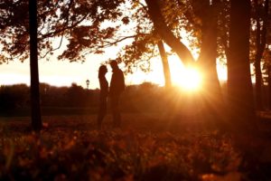 sunset, Trees, Forests, Silhouettes, Couple, Sunlight