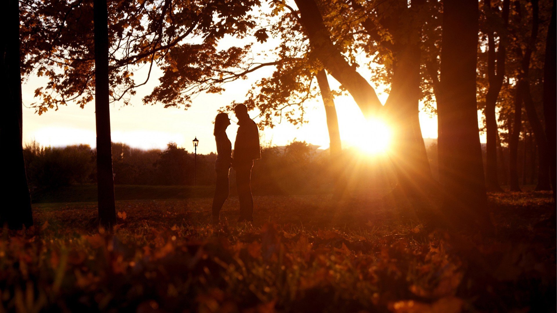 sunset, Trees, Forests, Silhouettes, Couple, Sunlight Wallpaper