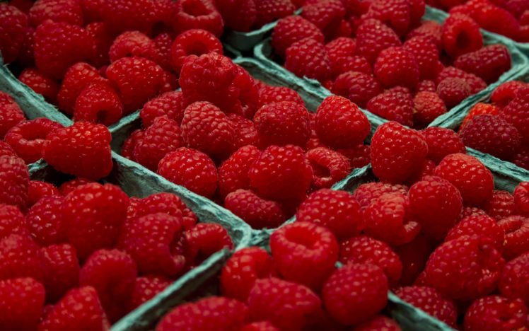 fruits, Raspberries HD Wallpaper Desktop Background