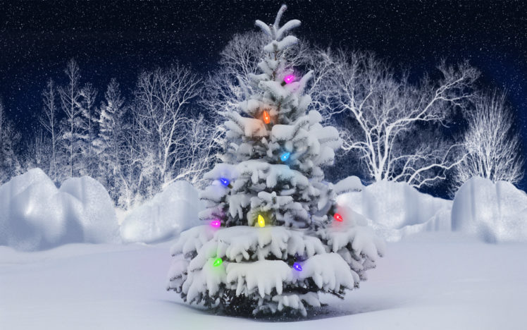 holidays, Christmas, Winter, Snow, Lights, Color, Trees, Seasonal, Stars, Sky HD Wallpaper Desktop Background