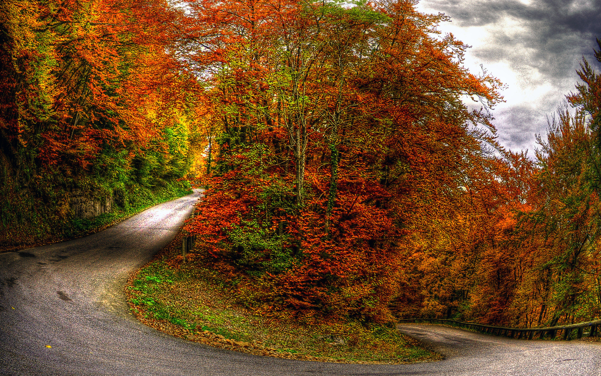 nature, Landscapes, Roads, Path, Trees, Forest, Color, Leaves, Sky, Clouds, Fence, Hdr Wallpaper