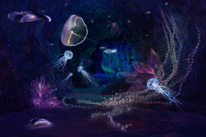 jellyfish, Sealife, Underwater, Fishes, Colors, Art, Artistic, Cg, Digital, 3d, Ocean, Sea, Water, Liquid, Wet, Plants, Magic