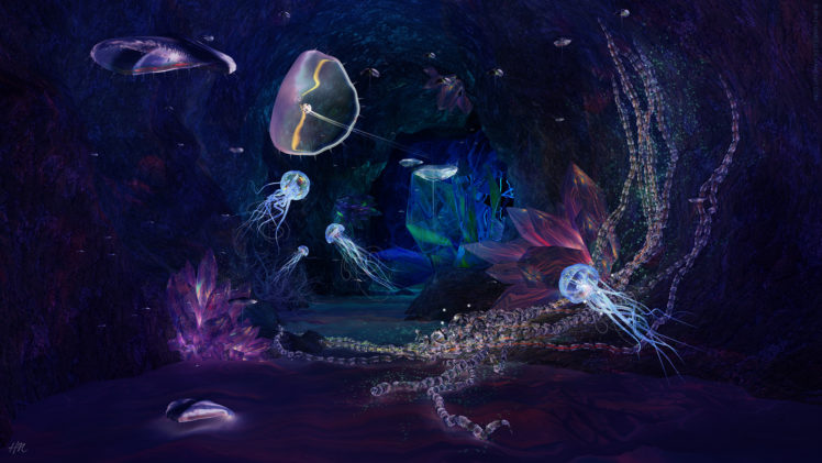 jellyfish, Sealife, Underwater, Fishes, Colors, Art, Artistic, Cg, Digital, 3d, Ocean, Sea, Water, Liquid, Wet, Plants, Magic HD Wallpaper Desktop Background