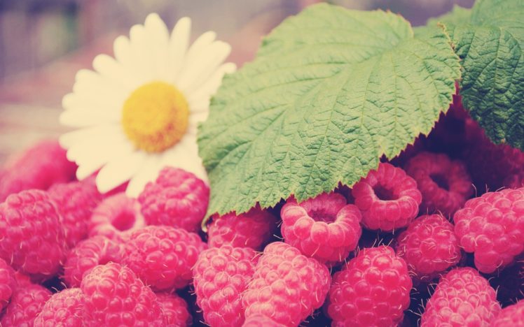 nature, Flowers, Fruits, Leaves, Raspberries HD Wallpaper Desktop Background