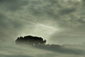 clouds, Landscapes, Nature, Trees, Mist, Sunlight, Monochrome