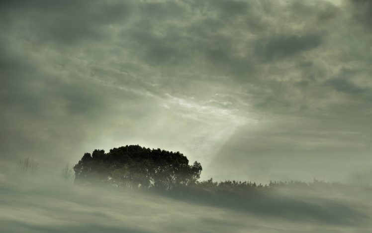 clouds, Landscapes, Nature, Trees, Mist, Sunlight, Monochrome HD Wallpaper Desktop Background