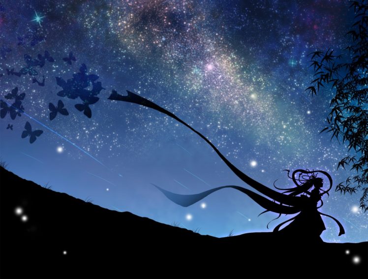 night, Stars, Skyscapes, Butterflies HD Wallpaper Desktop Background