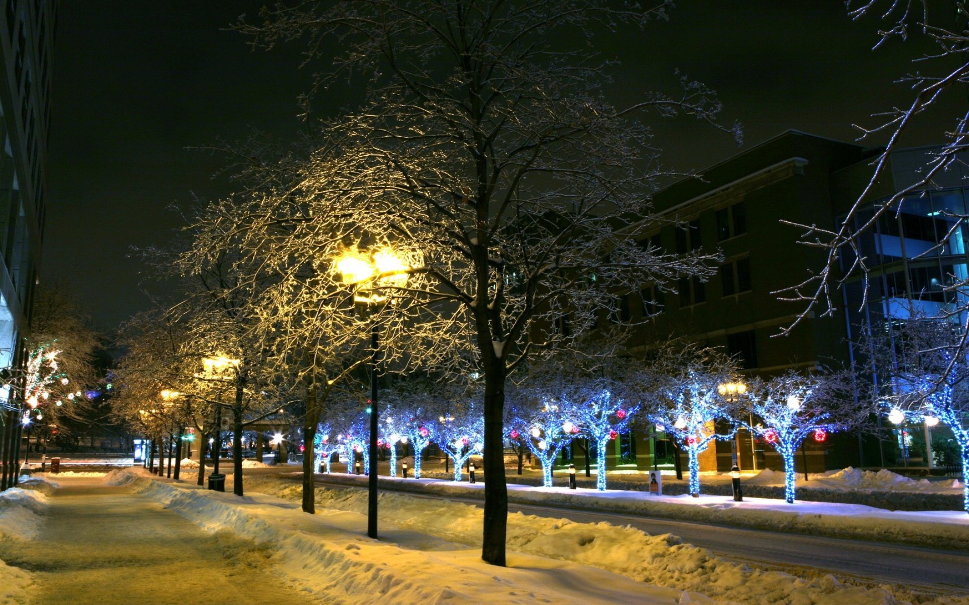 winter, Night, Christmas, New, Year Wallpaper