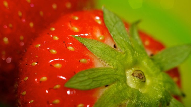 macro, Strawberries HD Wallpaper Desktop Background