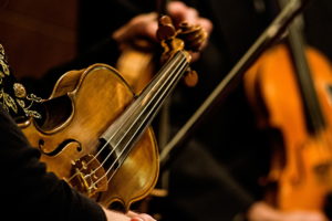 entertainment, Music, Violin, Musical, Instrument, Strings, Wood, People, Orchestra