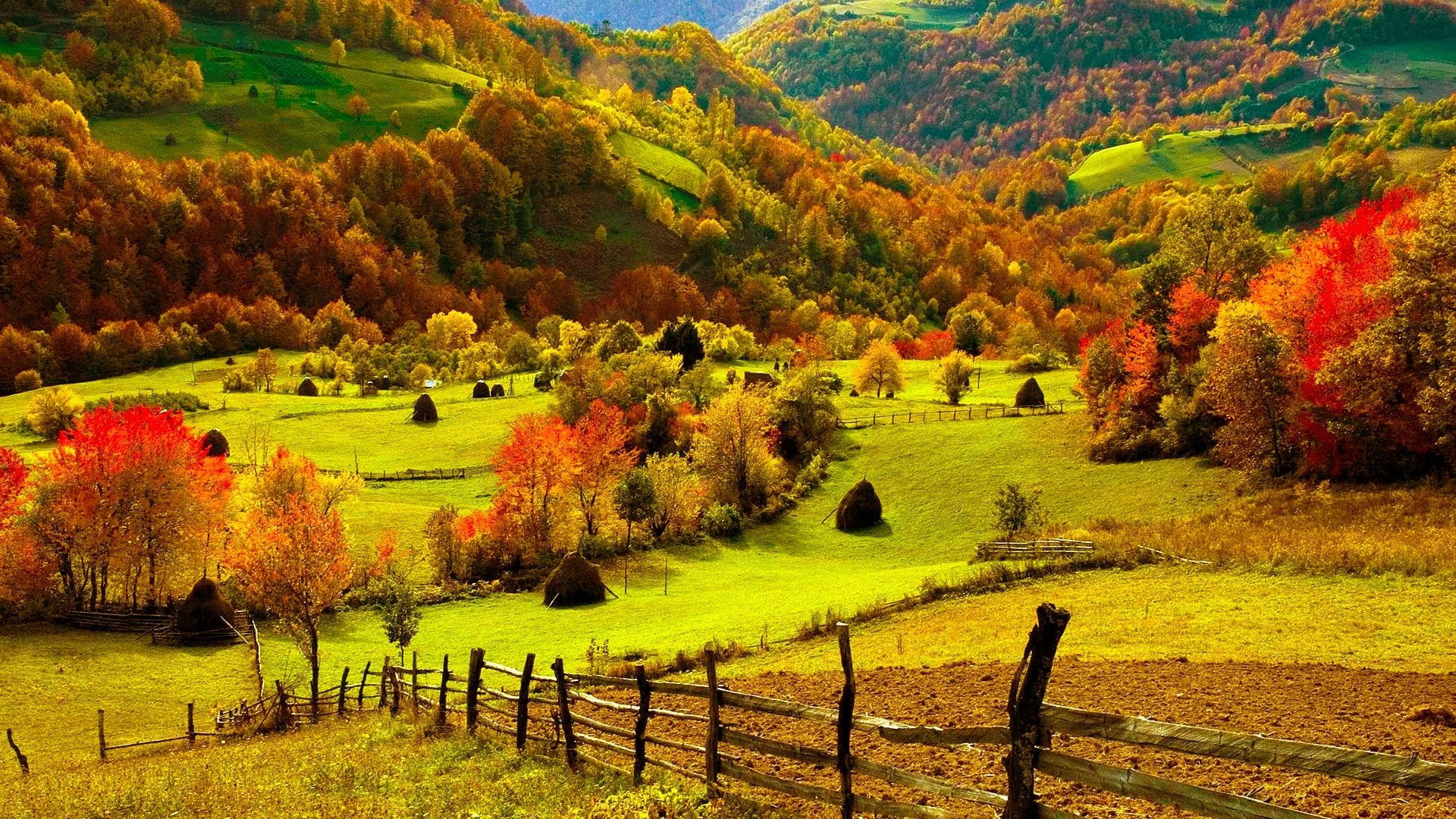 nature, Landscapes, Fields, Hills, Fence, Grass, Farm, Trees, Forests, Autumn, Fall, Seasons, Leaves, Color, Scenic, View, Bright Wallpaper