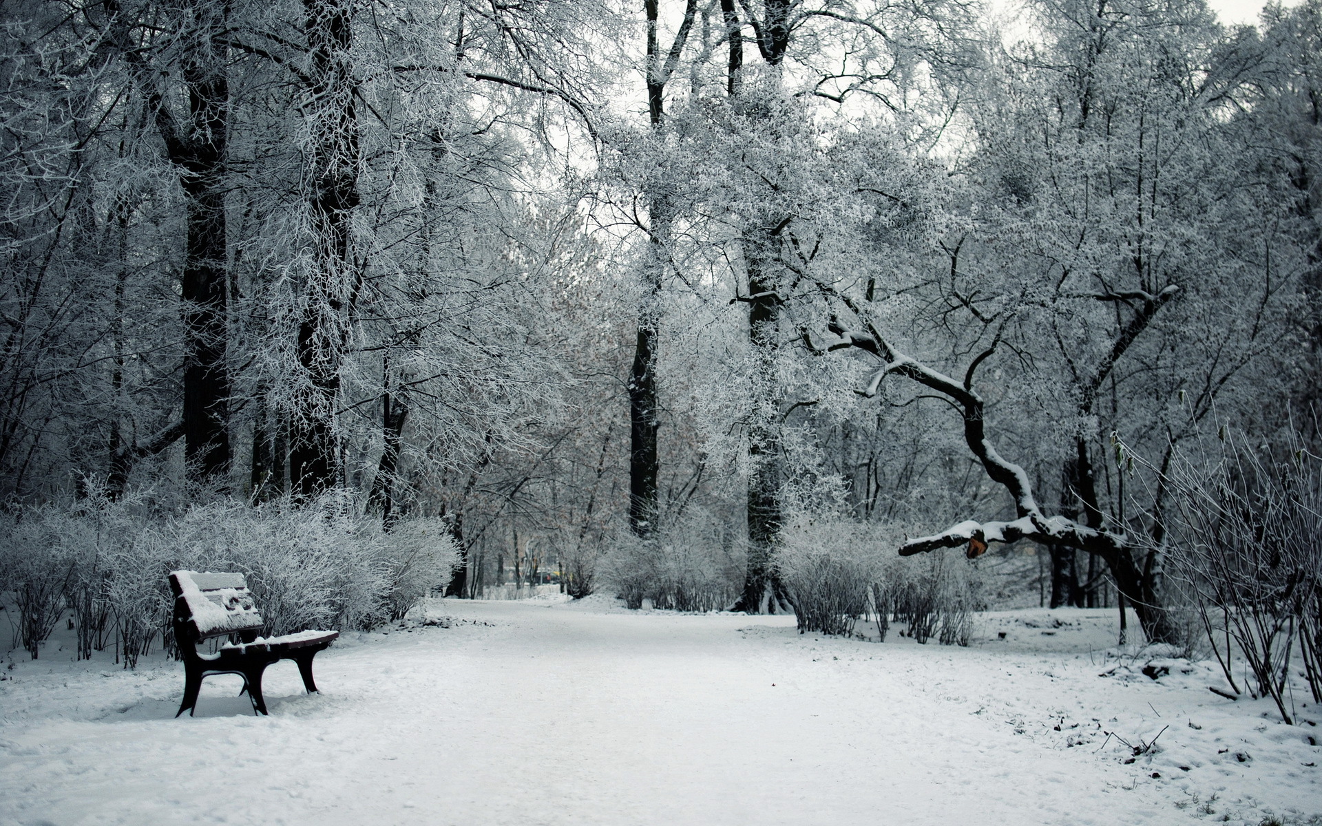 nature, Landscapes, Park, Garden, Trees, Forests, Winter, Snow, Seasons, Bench, Cold Wallpaper
