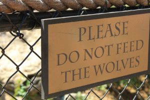 signs, Funny, Warning, Caution, Advice, Sign, Wolves, Alert