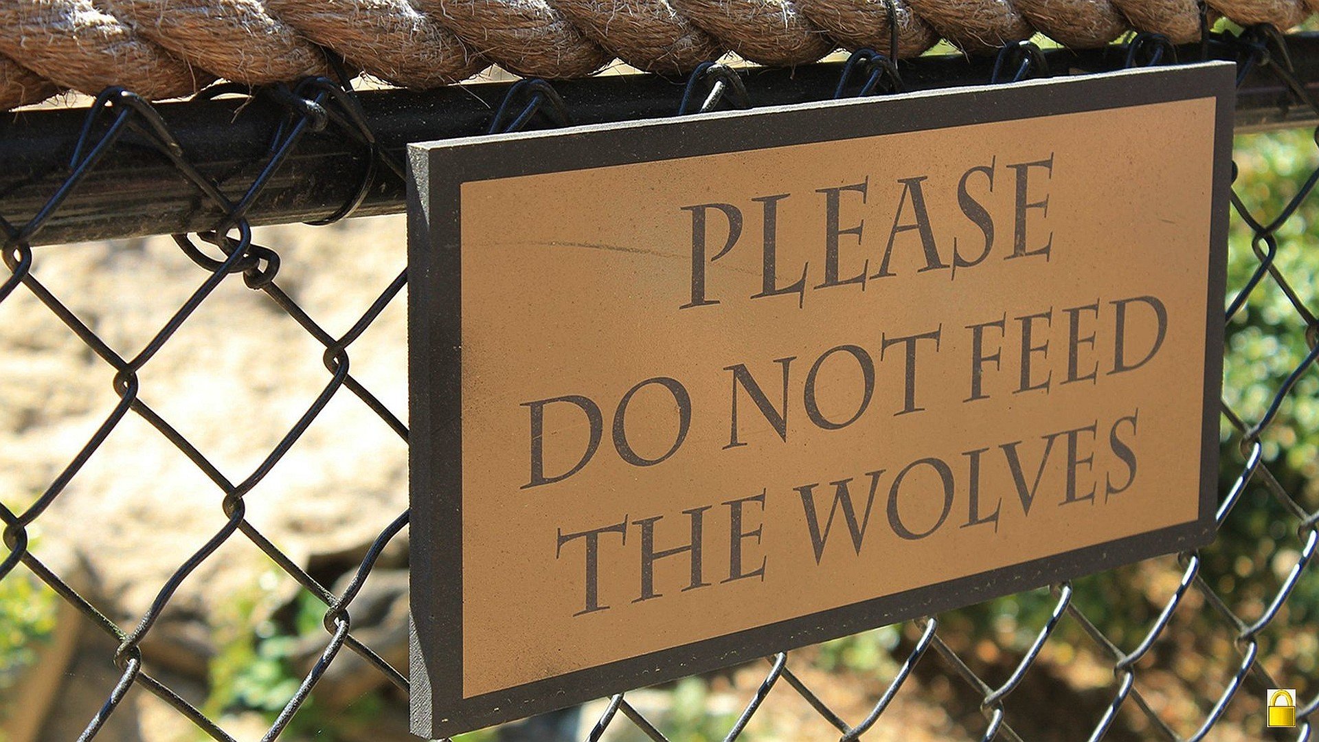 signs, Funny, Warning, Caution, Advice, Sign, Wolves, Alert Wallpaper