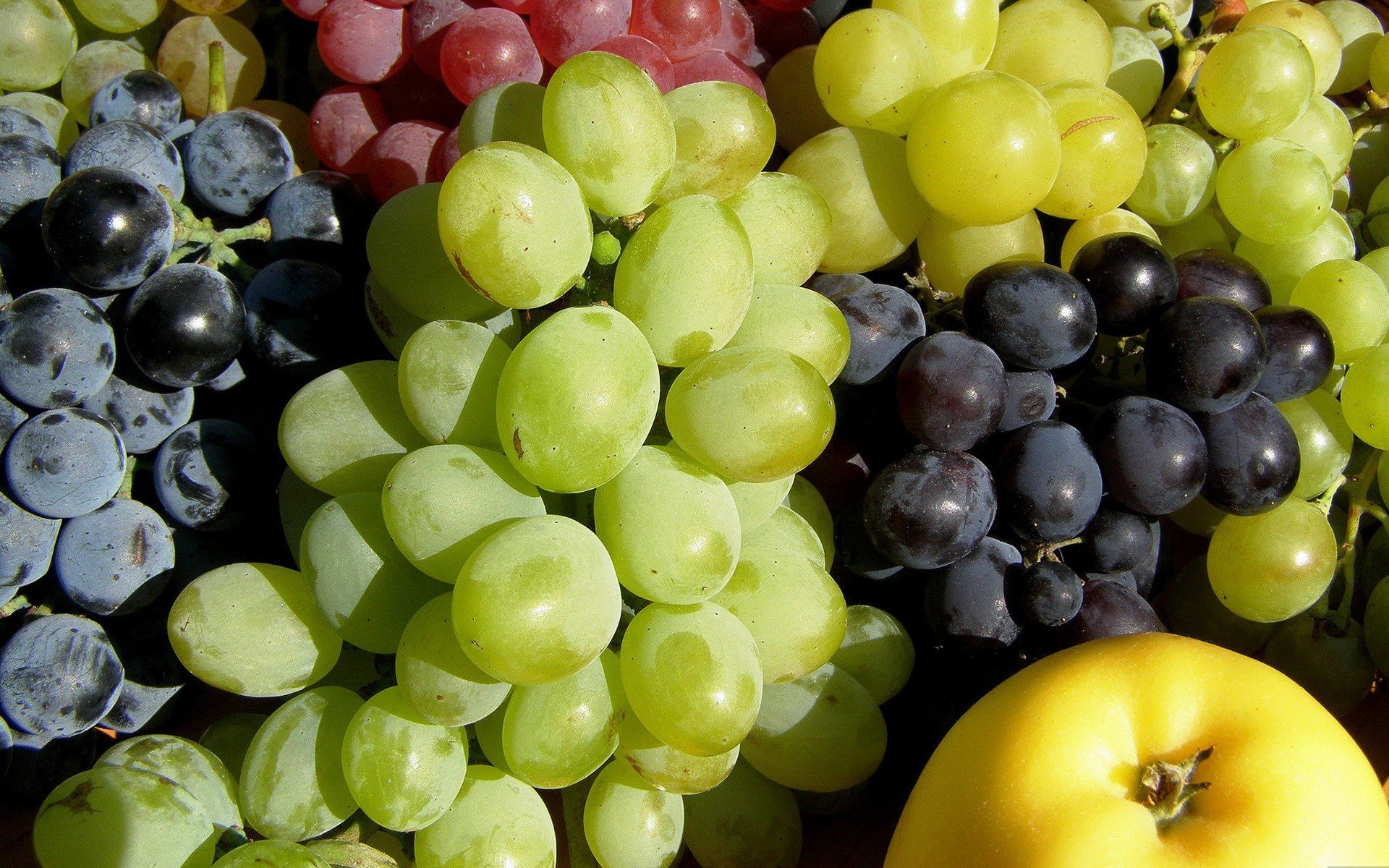 fruits, Grapes Wallpaper