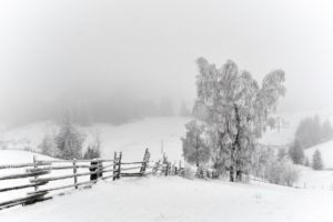 nature, Landscapes, Fence, Fields, Trees, Winter, Snow, Seasons, White, Bright, Cold, Snowing, Fog, Mist, Haze, Scenic