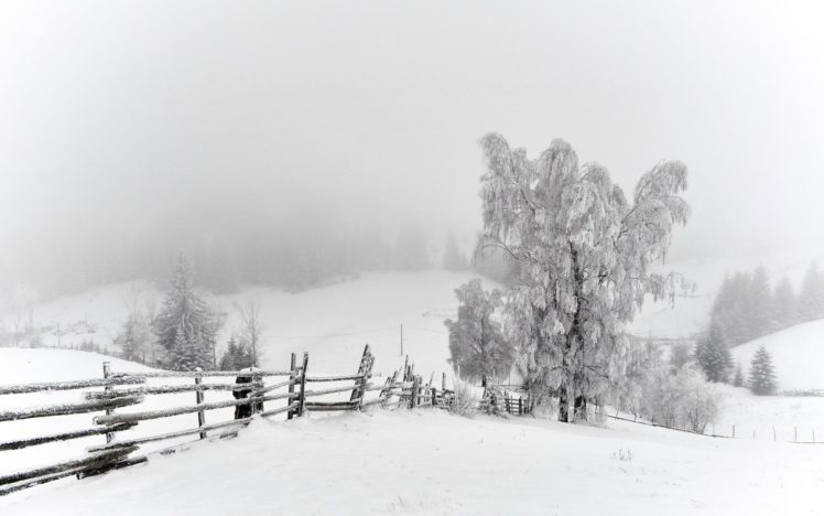 nature, Landscapes, Fence, Fields, Trees, Winter, Snow, Seasons, White, Bright, Cold, Snowing, Fog, Mist, Haze, Scenic HD Wallpaper Desktop Background