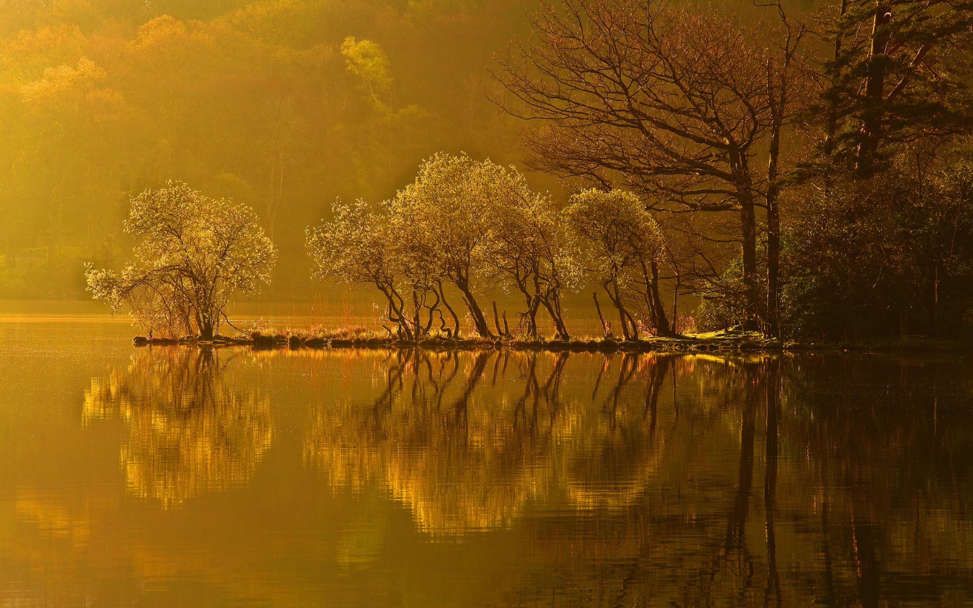Nature Landscapes Lakes Water Liquid Reflection Trees Forests