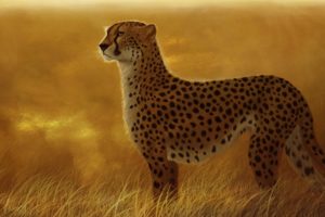 cheetah, Animals, Cats, Art, Artistic, Paintings, Africa, Landscapes, Nature, Wildlife, Predator, Spots, Pattern, Sunset, Sunrise, Grass, Fields