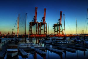 monsters, Night, Los, Angeles, Cranes, The, Port