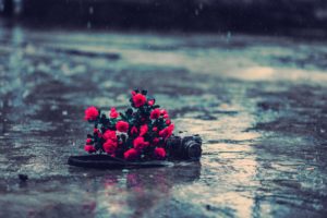 tech, Mech, Camera, Photography, Nature, Flower, Bouquets, Roses, Red, Color, Rain, Wet, Storm, Drpos, Reflections, Roads, Streets, Bokeh, Still, Life