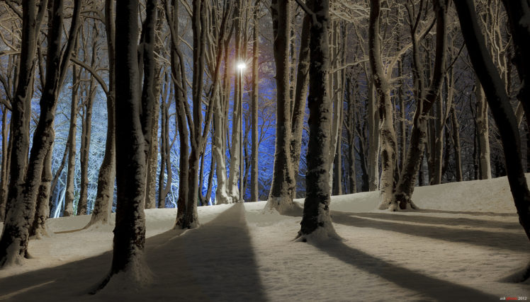 nature, Landscapes, Trees, Forest, Winter, Snow, Seasonal, Lamp, Light, Post, Shadow HD Wallpaper Desktop Background