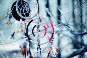 dream, Catcher, Native, American, Artistic, Indian, Trees, Branch, Limb, Abstract, Photography