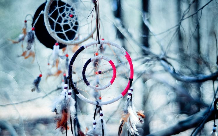 dream, Catcher, Native, American, Artistic, Indian, Trees, Branch, Limb, Abstract, Photography HD Wallpaper Desktop Background