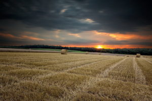 nature, Landscapes, Fields, Crops, Farm, Hay, Bales, Wheat, Rustic, Trees, Forest, Sky, Clouds, Sunset, Sunrise, Color