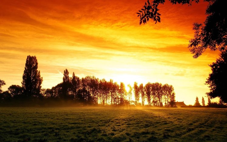 nature, Landscapes, Fields, Grass, Trees, Color, Sky, Clouds, Sunrise, Sunset HD Wallpaper Desktop Background