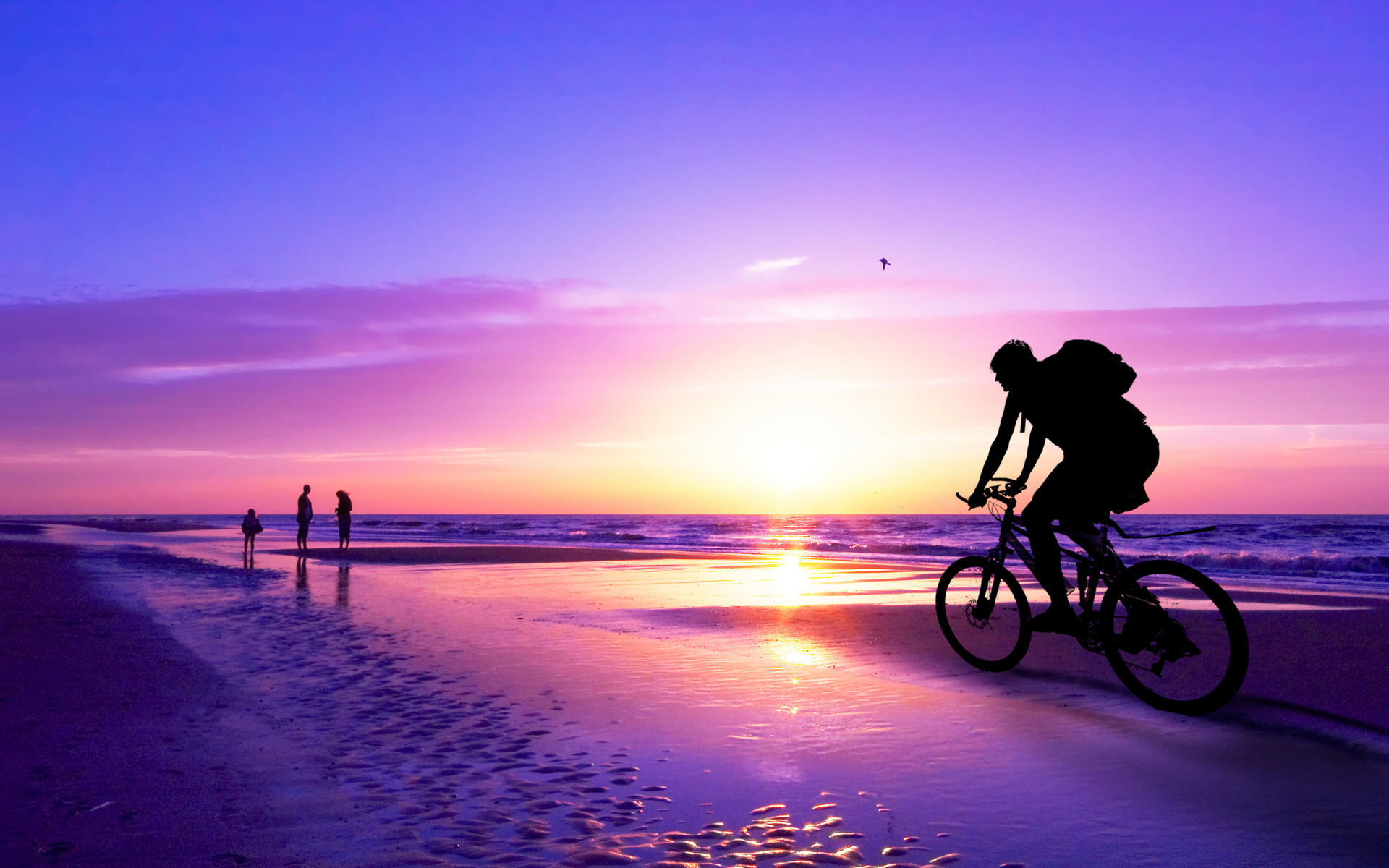 vehicles, Bicycles, Bikes, Sports, People, Nature, Ocean, Sea, Seascape, Waves, Beaches, Path, Trail, Sidewalk, Boardwalk, Sky, Clouds, Sunset, Sunrise, Color Wallpaper