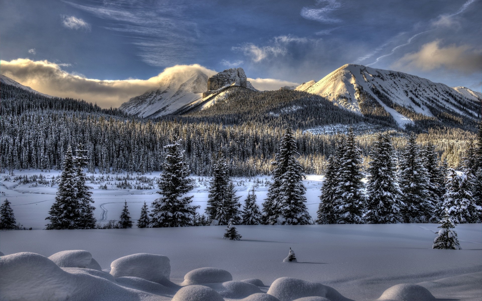 nature, Landscapes, Mountains, Trees, Forest, Wood, Winter, Snow