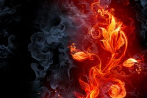 abstract, Fire, Flames, Smoke, Flowers, Cg, Digital, Art, Color