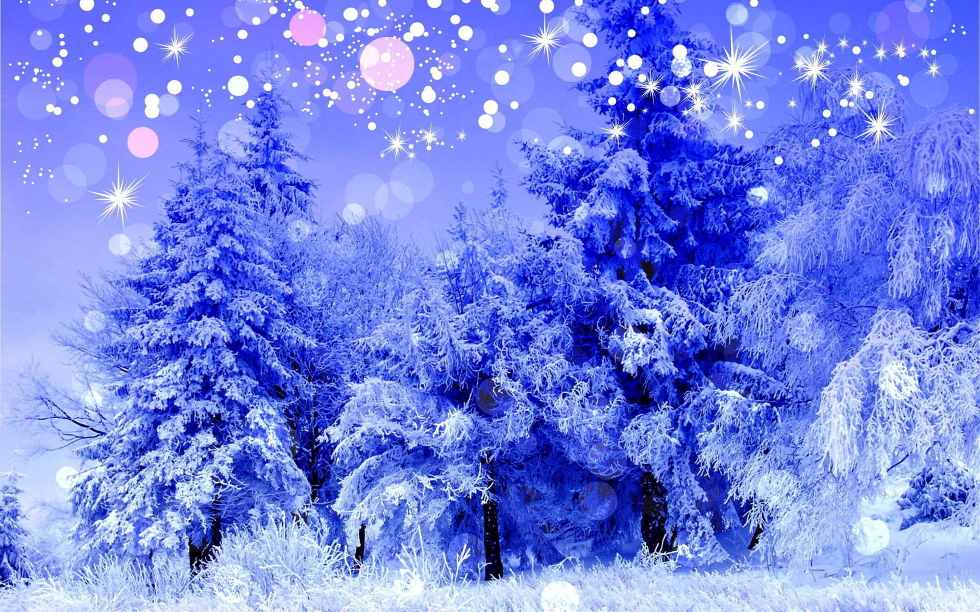 holidays, Christmas, Bokeh, Sparkle, Snowing, Flakes, Nature, Trees, Forest, Winter, Snow, Seasons Wallpaper