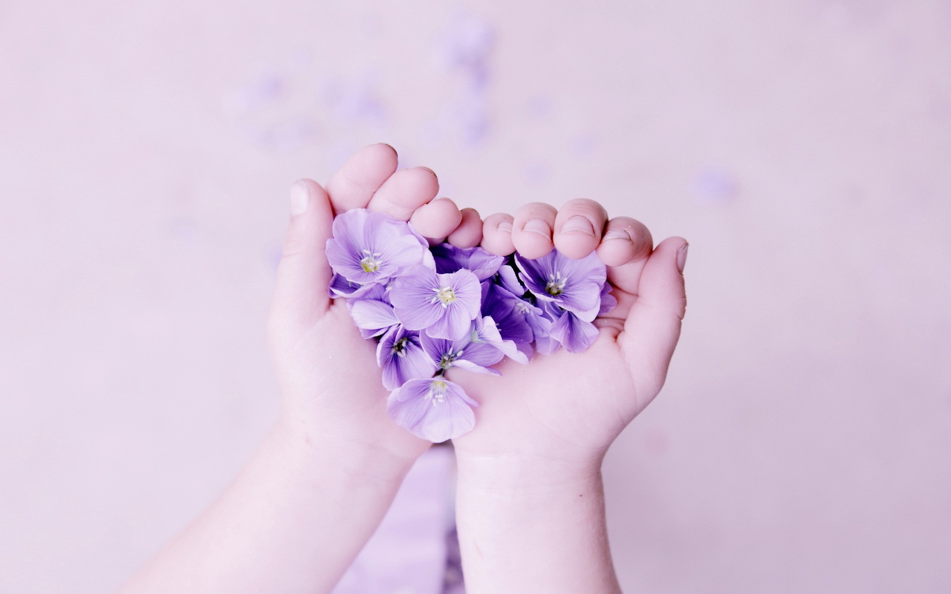 bokeh, Love, Romance, Mood, Emotion, Heart, Hands, Soft, Flowers Wallpaper