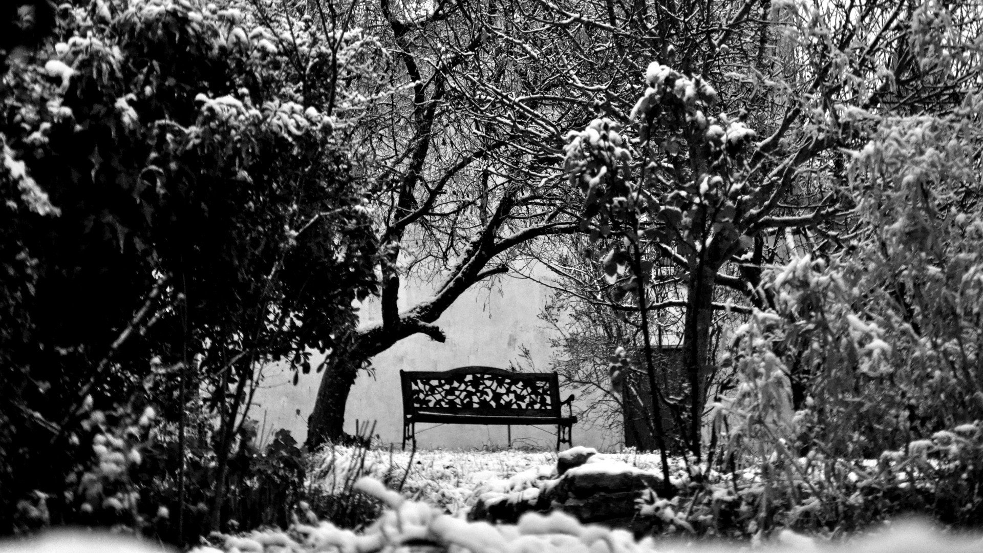 winter, Snow, Trees, Bench, Grayscale, Monochrome Wallpaper