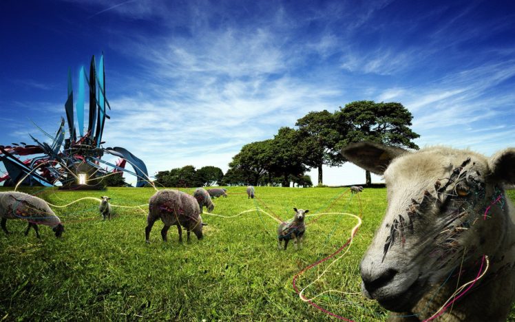 animals, Retro, Funny, Weird, Sheep HD Wallpaper Desktop Background
