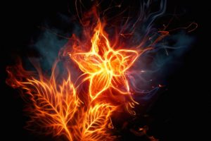abstract, Cg, Digital, Art, Fire, Flames, Heat, Leaves, Sparks, Flowers