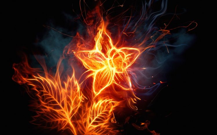 abstract, Cg, Digital, Art, Fire, Flames, Heat, Leaves, Sparks, Flowers HD Wallpaper Desktop Background