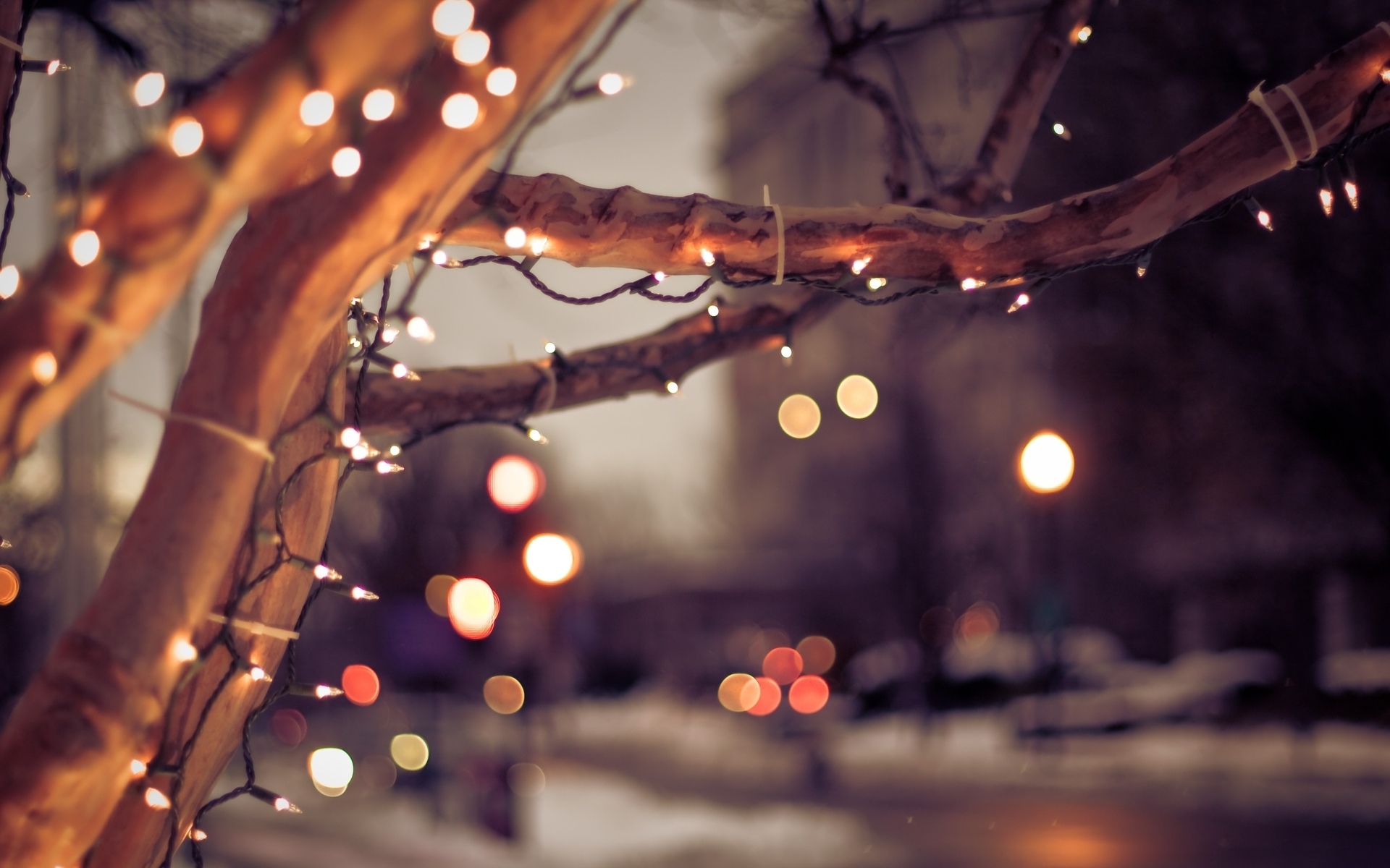 bokeh, Trees, Lights, Holidays, Sparkle, Roads, Macro, Close, Up, Cities, Architecture, Buildings, Mood Wallpaper
