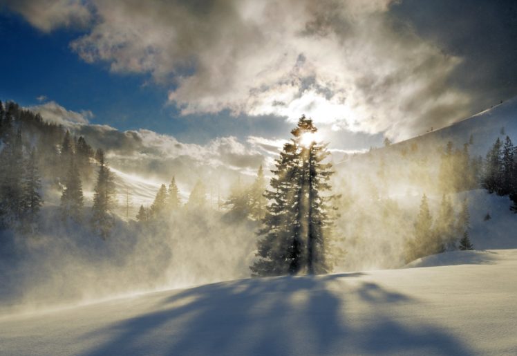 tree, Sunset, Snow, Winter HD Wallpaper Desktop Background