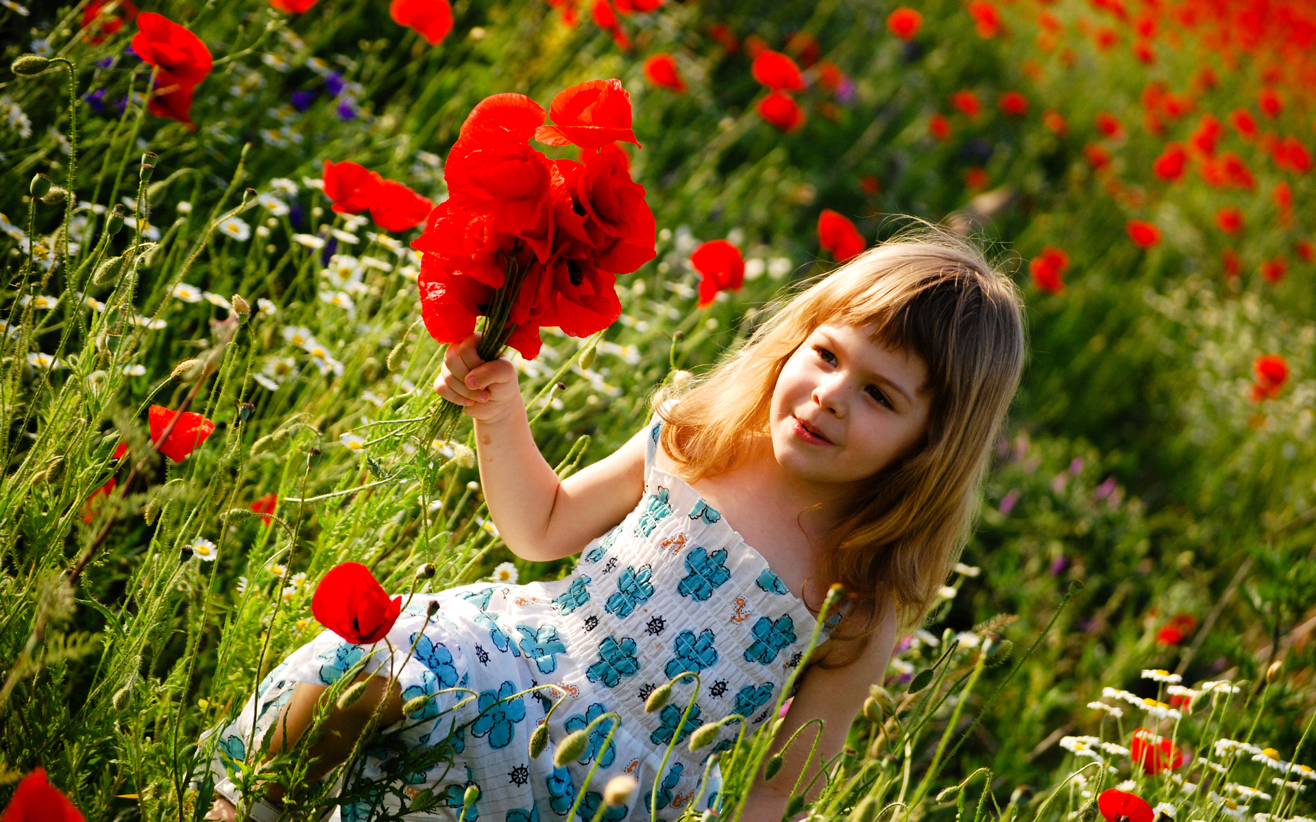 people, Children, Kids, Cute, Females, Girls, Blondes, Nature, Garden, Fields, Plants, Flowers, Red, Poppies, Red, Color Wallpaper