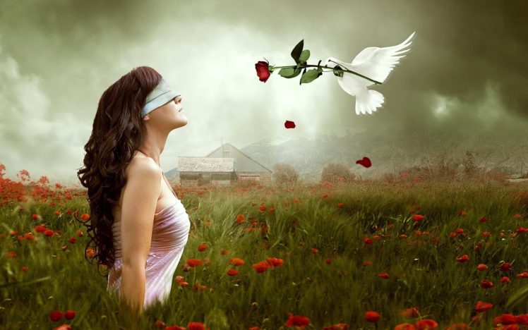 mood, Emotion, Gothic, Manipulation, Cg, Digital, Art, Blindfold, Dove, Animals, Birds, Love, Romance, Fantasy, Nature, Landscapes, Fields, Flowers, Poppy, Sky, Clouds HD Wallpaper Desktop Background