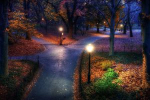 park, Garden, Autumn, Fall, Trees, Lamp, Roads