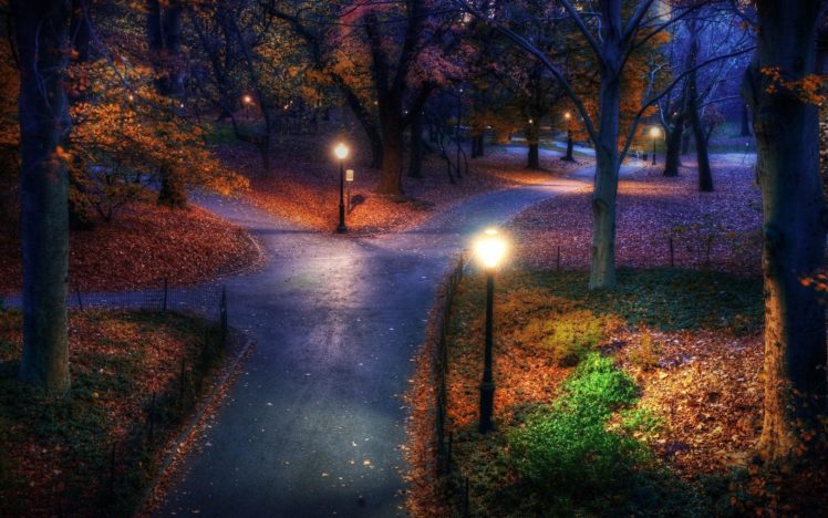 park, Garden, Autumn, Fall, Trees, Lamp, Roads HD Wallpaper Desktop Background
