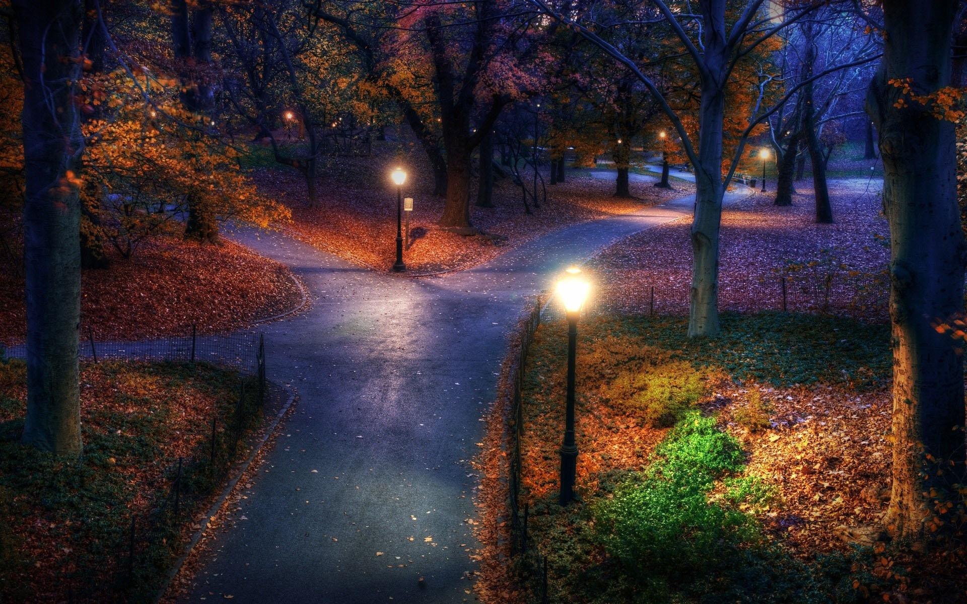 park, Garden, Autumn, Fall, Trees, Lamp, Roads Wallpaper