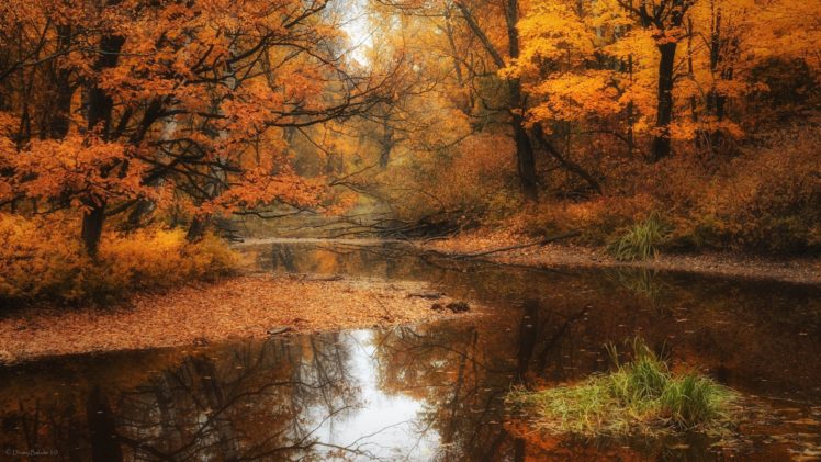 water, Landscapes, Nature, Autumn, Forests, Seasons, Rivers HD Wallpaper Desktop Background